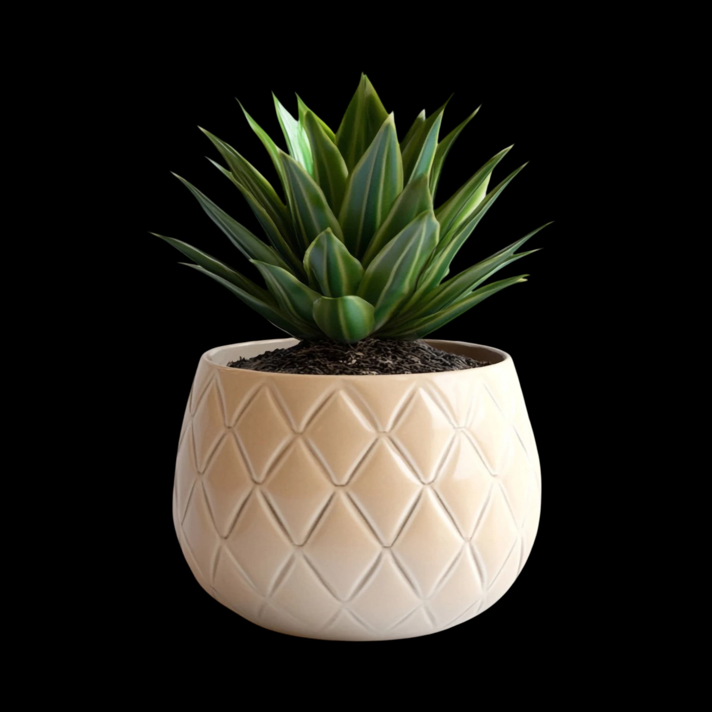 Terra Planter